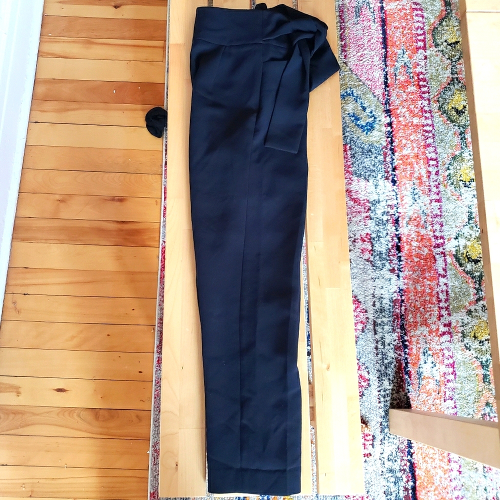Aritzia pants